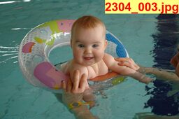2304_003.jpg