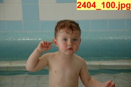 2404_100.jpg